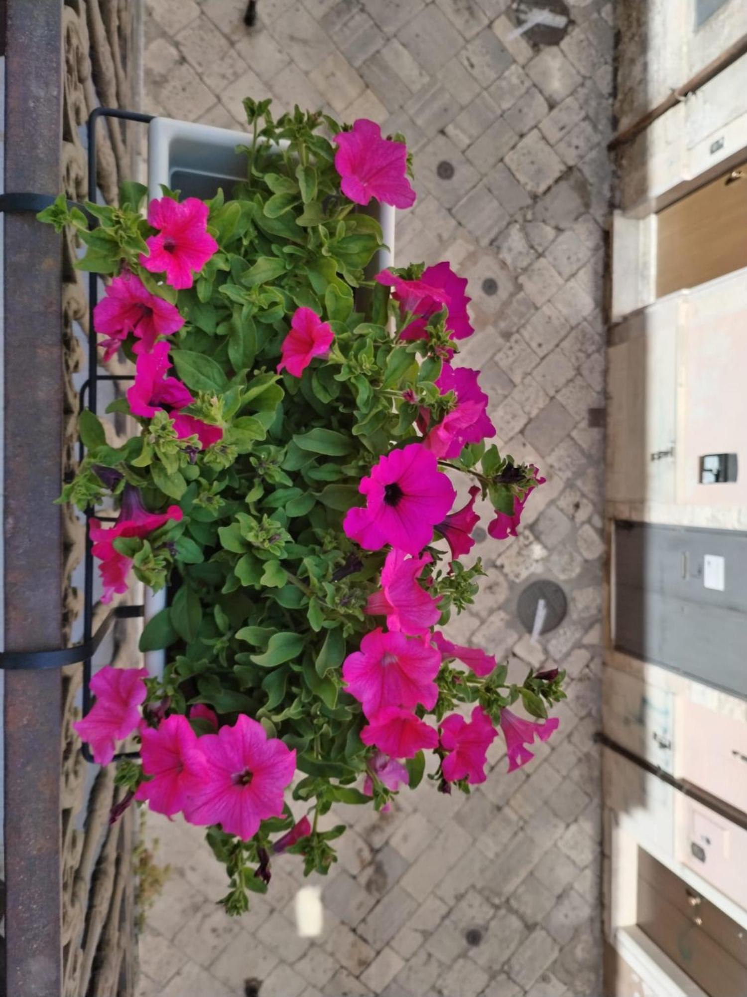 Happy House Salento Apartment Brindisi Exterior foto